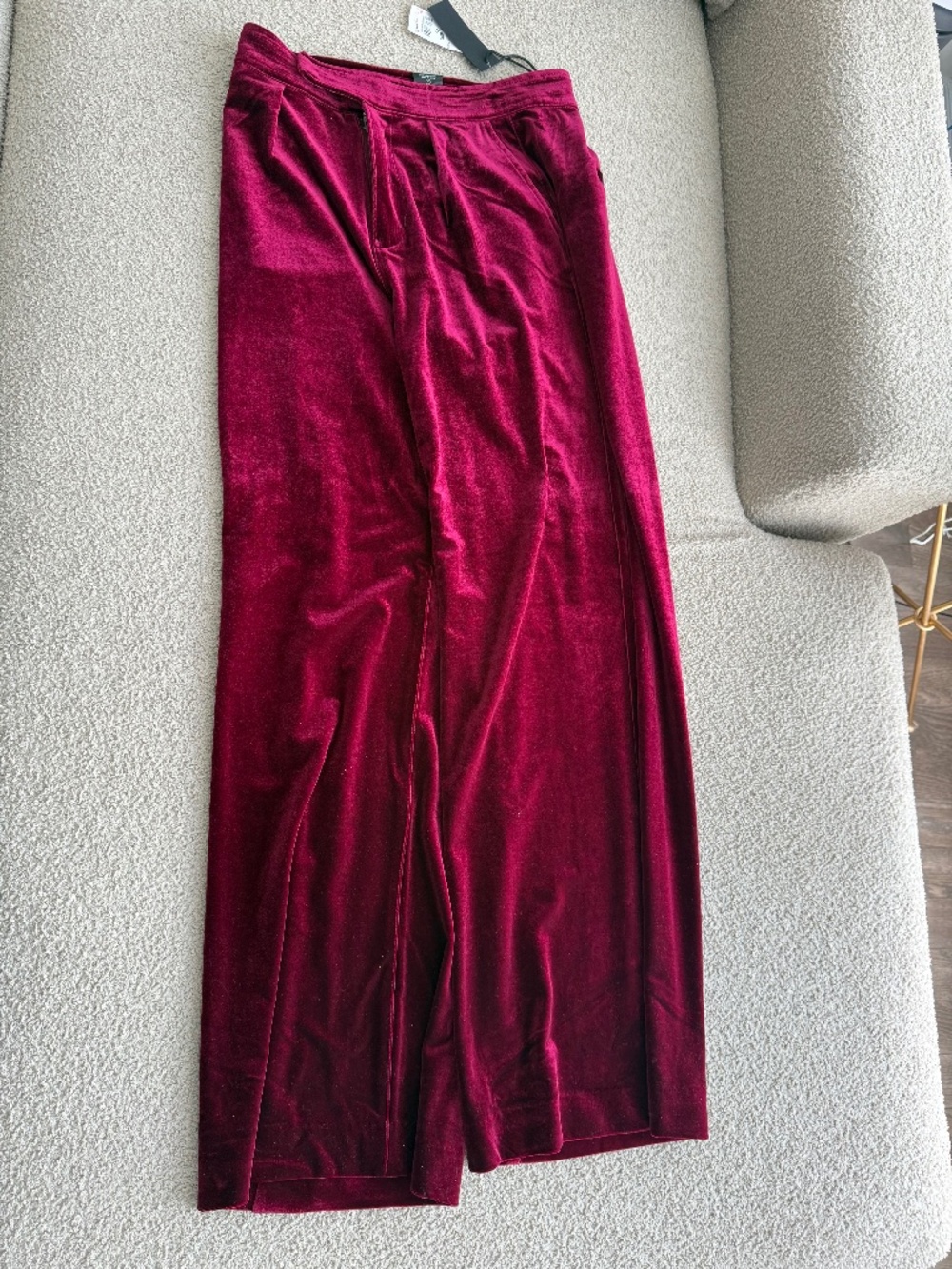 Dark Red Velvet Pants - Size 26
